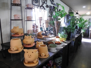 「はなこま」　（長野県須坂市）の花屋店舗写真4