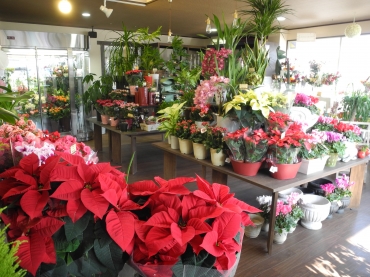 「はなこま」　（長野県須坂市）の花屋店舗写真2
